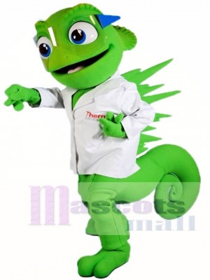 Chameleon Mascot Costumes Lizard Iguana