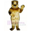 Groundhog Mascot Costume