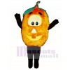 Jack O Lantern Mascot Costume