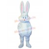 Easter Bunny Rabbit mascot costume