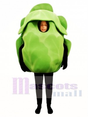 Iceberg Lettuce Mascot Costume