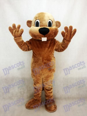 Alex the Beaver Mascot Costume Animal 